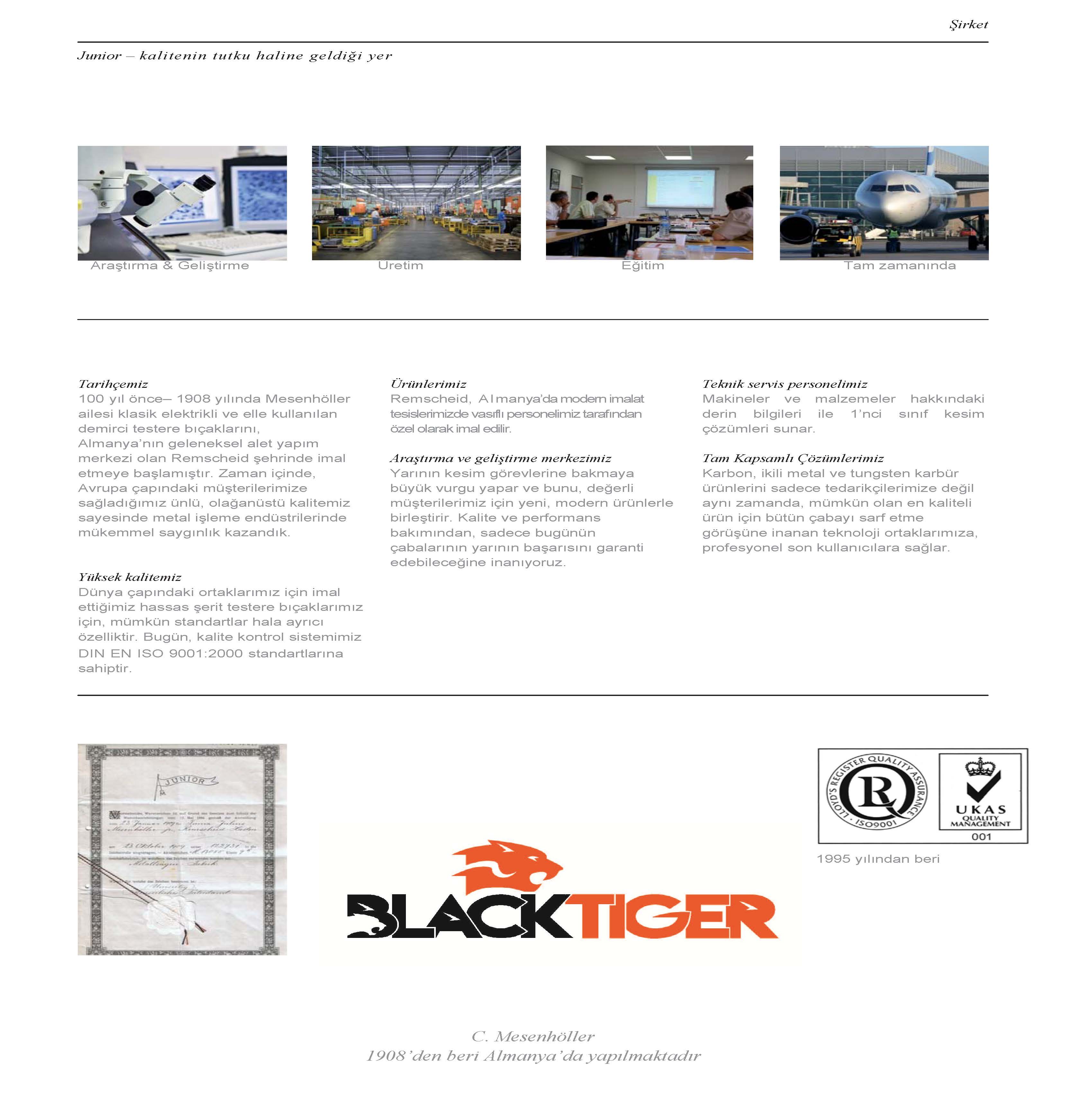 Bi Metal Şerit Testere